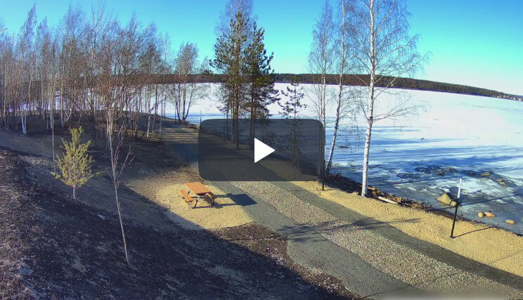 IP Camera Stream