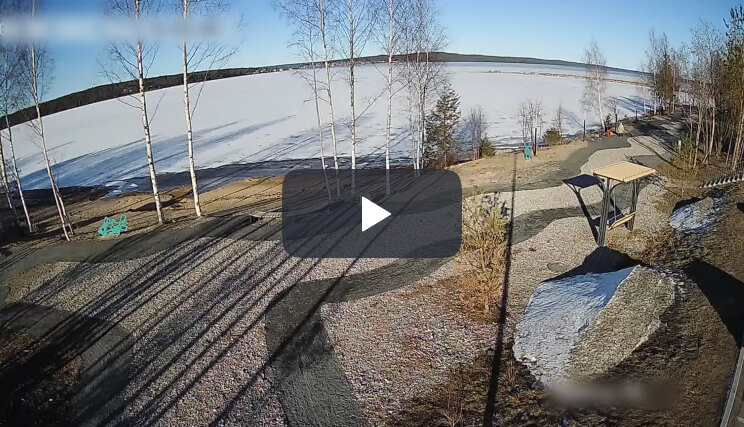 IP Camera Stream
